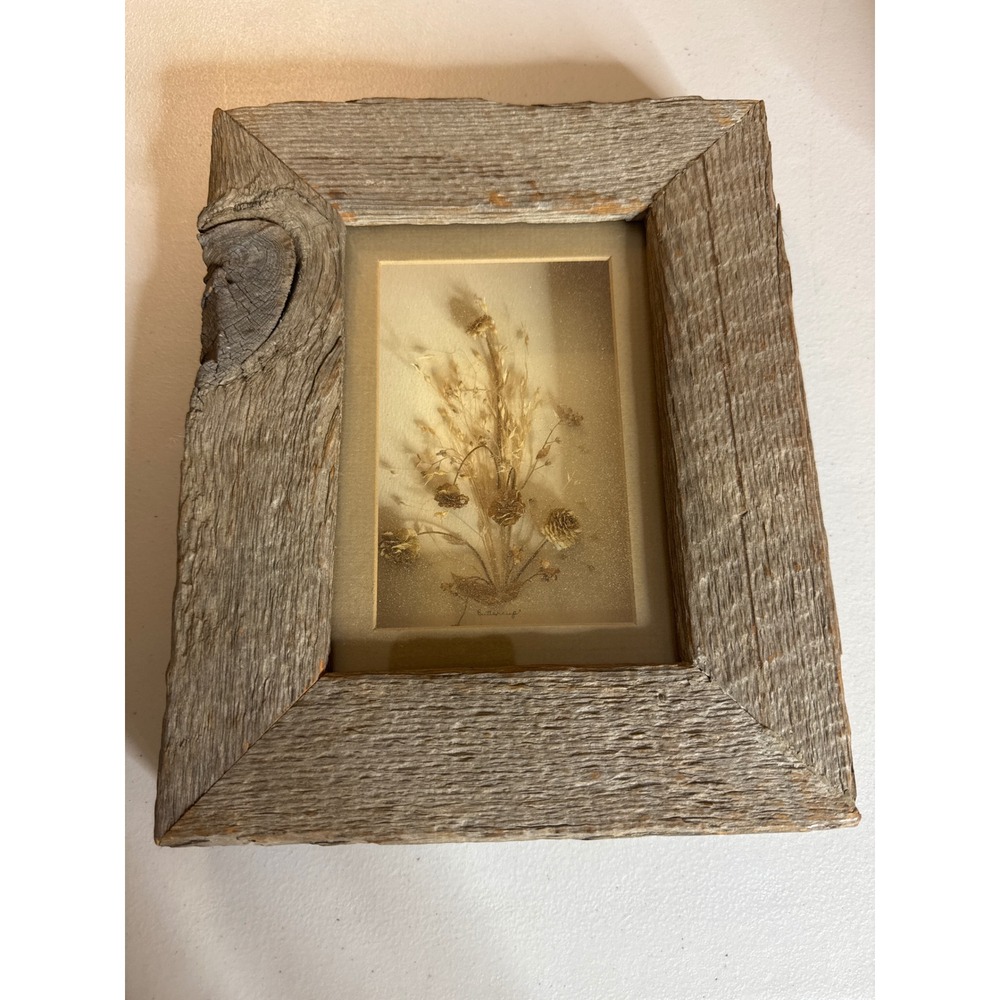 The Naturalist Rocky Mountain Herbarium Dried Flowers Rustic Barn Wood Frame
